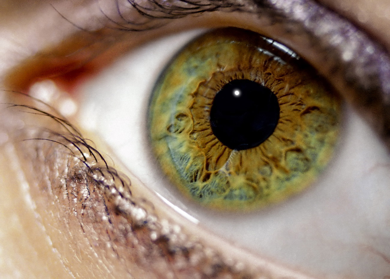 sinigerov-photography