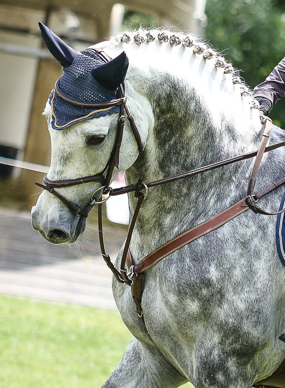 sinigerov-photography