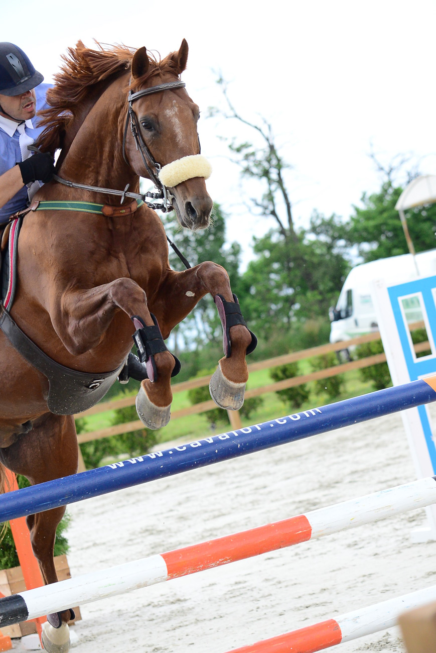 sinigerov-photography