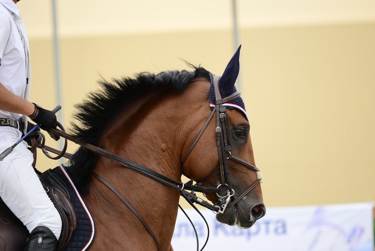 sinigerov-photography