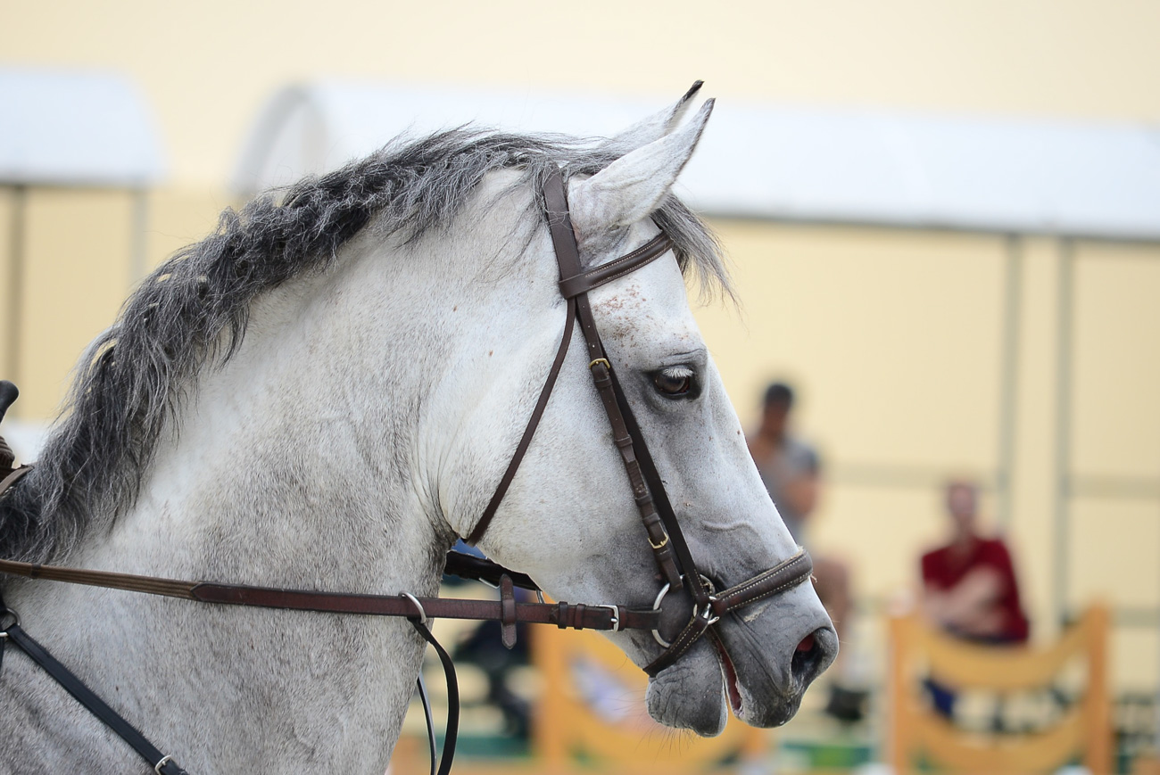 sinigerov-photography