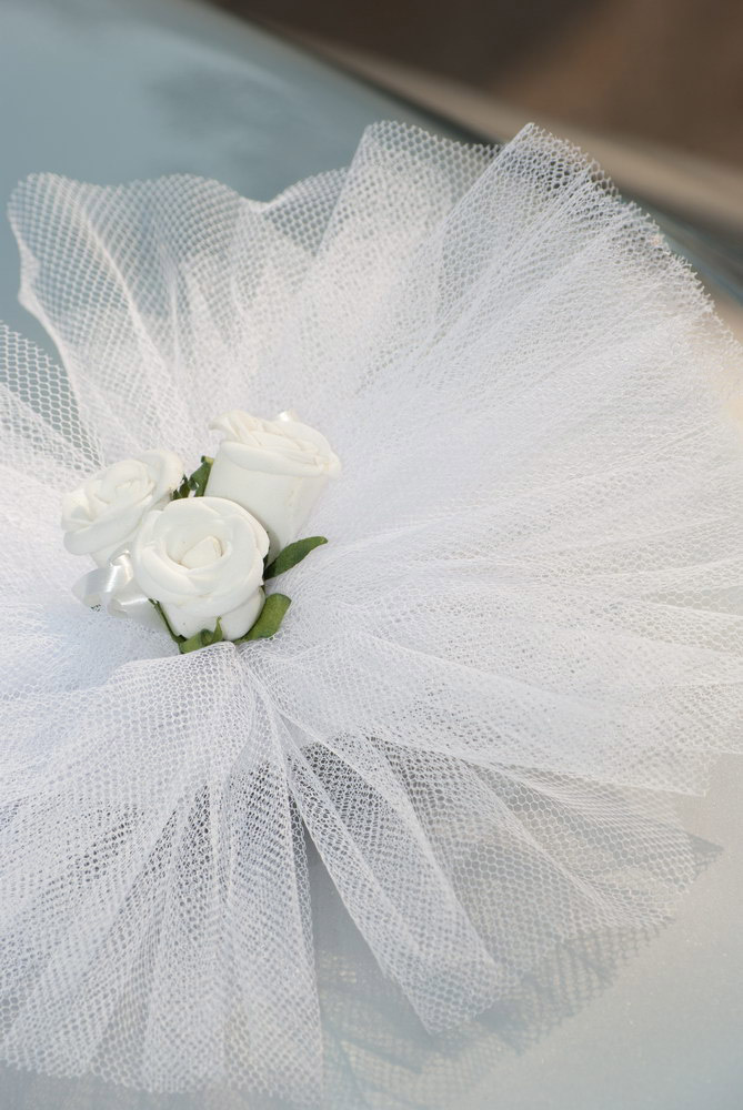 sinigerov-photography